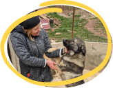 OUR Dog Foundation